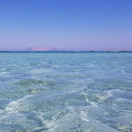 La Casa Dei Cestini By Interhome شقة *